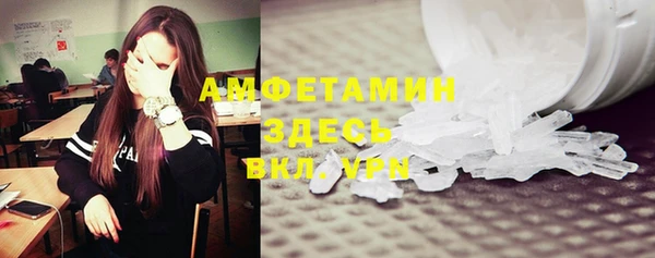 спиды Ельня