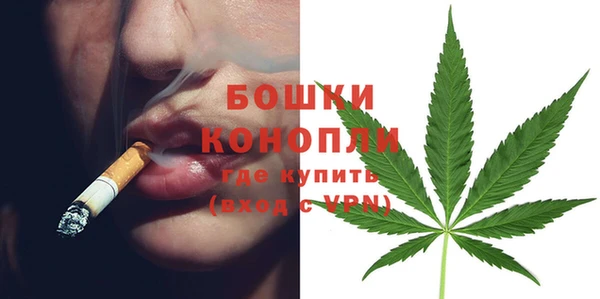 спиды Ельня