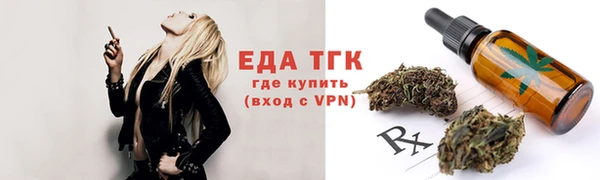 спиды Ельня