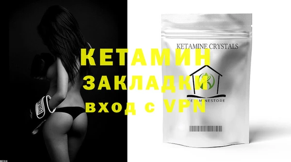 спиды Ельня