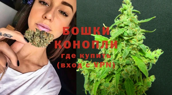 спиды Ельня