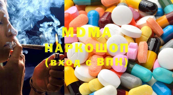 спиды Ельня