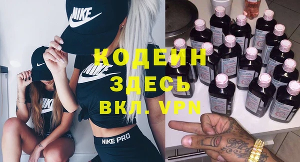 спиды Ельня