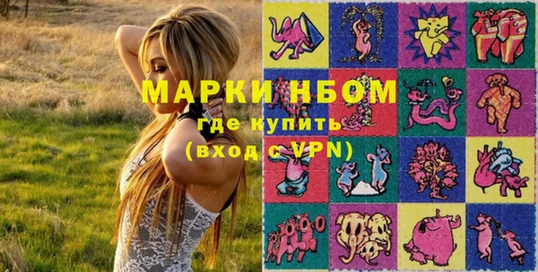 спиды Ельня