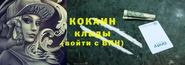 спиды Ельня