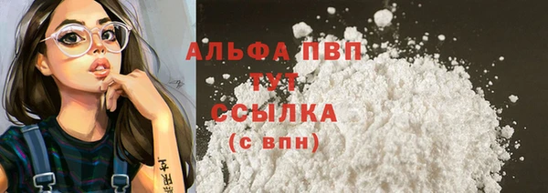 спиды Ельня