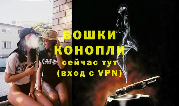 спиды Ельня
