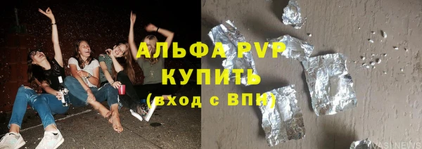 спиды Ельня