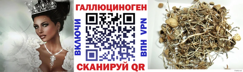 Купить  Чапаевск  Псилоцибиновые грибы GOLDEN TEACHER 